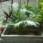 20140912_090319_resized