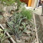 20140912_090806_resized