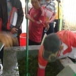 demo-mengolah-rumput-bahan-biogas