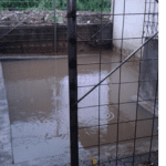 hasil pengolahan sampah basah menjadi pakan ikan