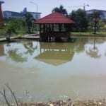 Saung insan karya