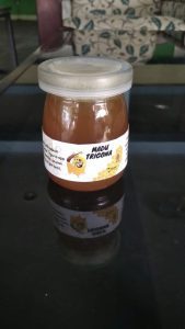 Madu Klanceng atau Trogona